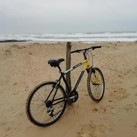 Apartamento Studio Dans Les Pins *