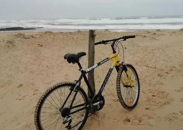 شقة Studio Dans Les Pins *