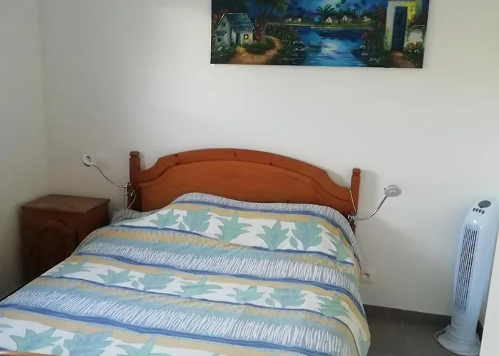 Studio Dans Les Pins *