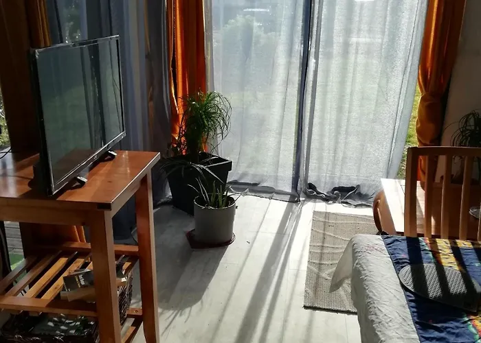 Studio Dans Les Pins